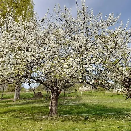 Au Chateau Holiday home Castelnau-sur-Gupie